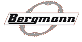 2rad Center Bergmann Logo